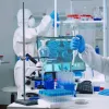 Американські вчені викрили нові вражаючі факти про Covid: коронавірус міг з’явитися не в Китаї