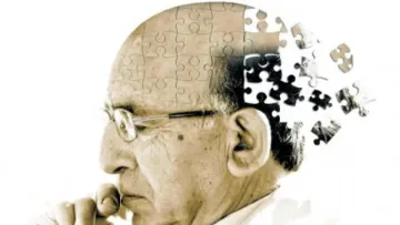 Американські вчені назвали продукти, які здатні спровокувати недоумкуватість: сала у списку немає, солодощі – є