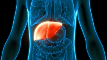 Який продукт може непомітно «вбити» вашу печінку: експерти назвали улюбленця багатьох