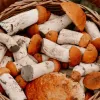 Харчова гігієна: 4 продукти, які не можна їсти сирими