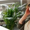 Магнітна буря 26 липня: чи буде неділя легкою для метеозалежних – детальний прогноз від фахівців