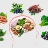 Як прокачати мозок без дорогих та модних медпрепаратів: продукти, що сприяють ментальному здоров'ю