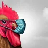 Світ готується до нової пандемії: пташиний грип H5N1 добрався до всіх континентів, окрім одного