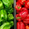 Битва болгарських перців: дієтологи пояснили, овоч якого кольору корисніший