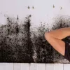 Як назавжди позбутися плісняви дешевими засобами: три прості, але дієві методи боротьби з патогенною флорою