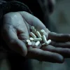 У Києві продавали диво-пігулки для схуднення, які давали геть інший ефект – наркотичний: що загрожує дилерам