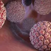 В Україні запроваджують безплатну вакцинацію проти небезпечного вірусу ВПЛ: чому це важливо 