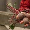 І ліки не потрібні: названо топ-5 продуктів, які знижують тиск