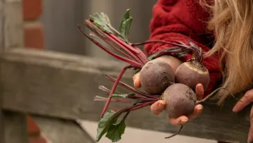 І ліки не потрібні: названо топ-5 продуктів, які знижують тиск