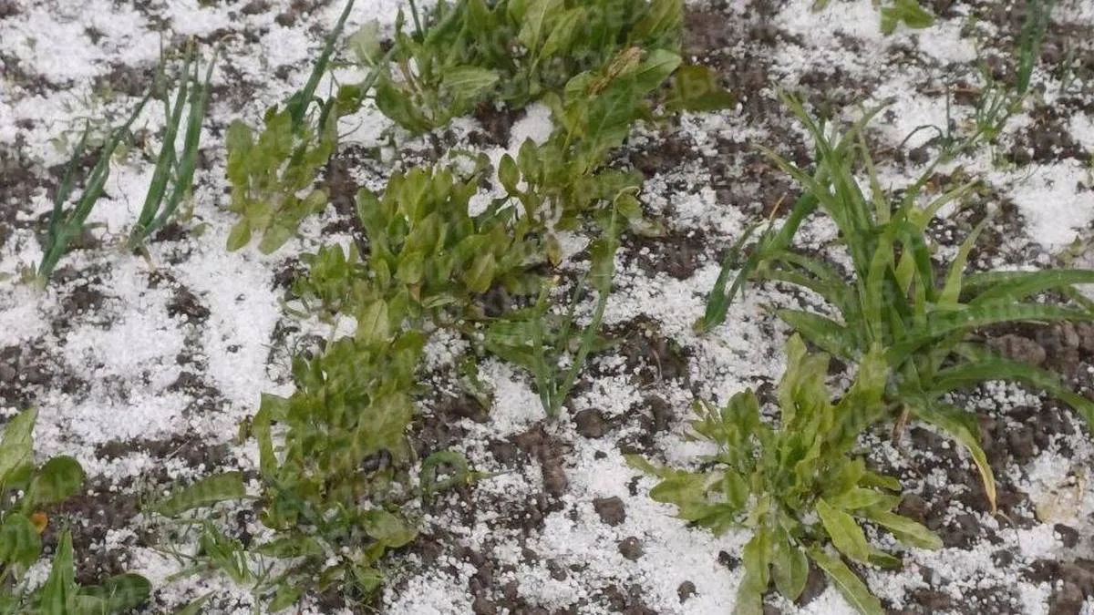 Апокаліпсис на Київщині: пилова буря та град охопили міста й села — шокуючі кадри