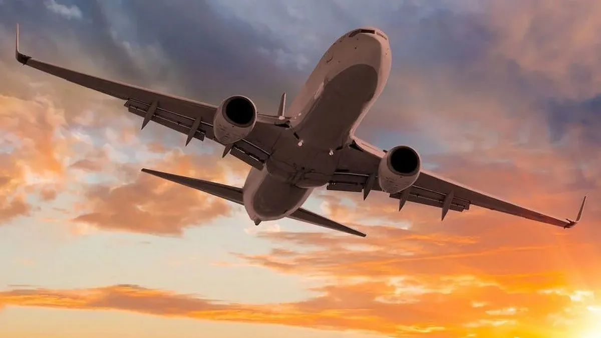 Неочікуваний штраф у літаку: Wizz Air попередив пасажирів про несподіване правило ручного багажу