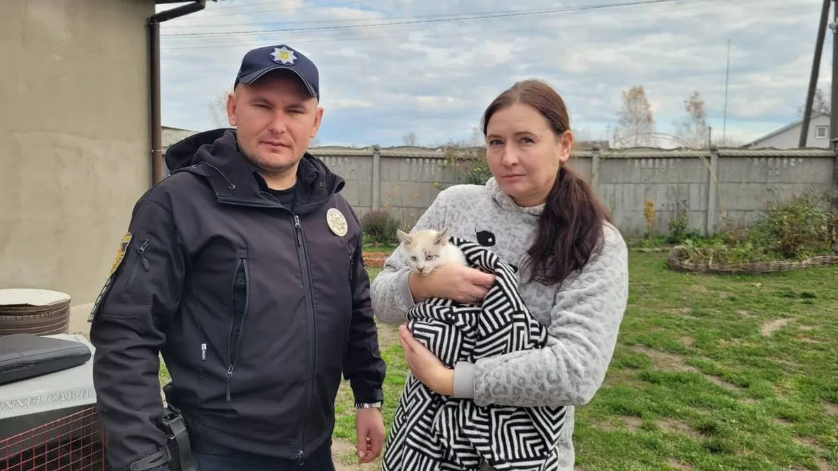 «Найголовніше — що котик в безпеці»: суд прийняв рішення щодо батьків дитини, яка обмалювала тварину 