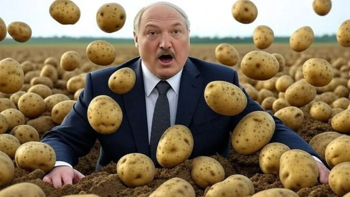 Білорусь на межі харчової кризи через картоплю: Лукашенко не може забезпечити ринок стратегічним продуктом