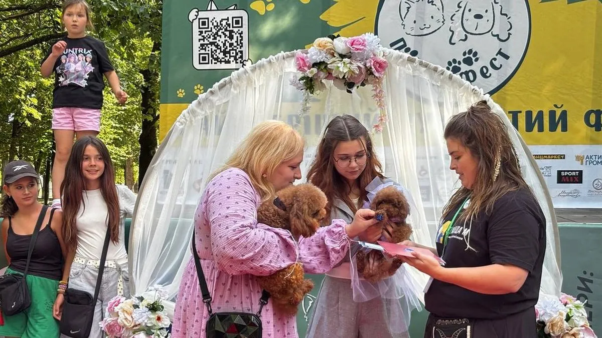 На Житомирщині влаштували благодійне «весілля» для собак: як це виглядало