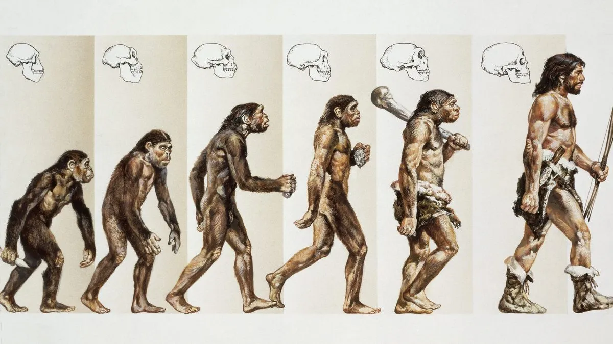 Еволюція без початку: нацковці заявили, що людство виникло не з однієї популяції