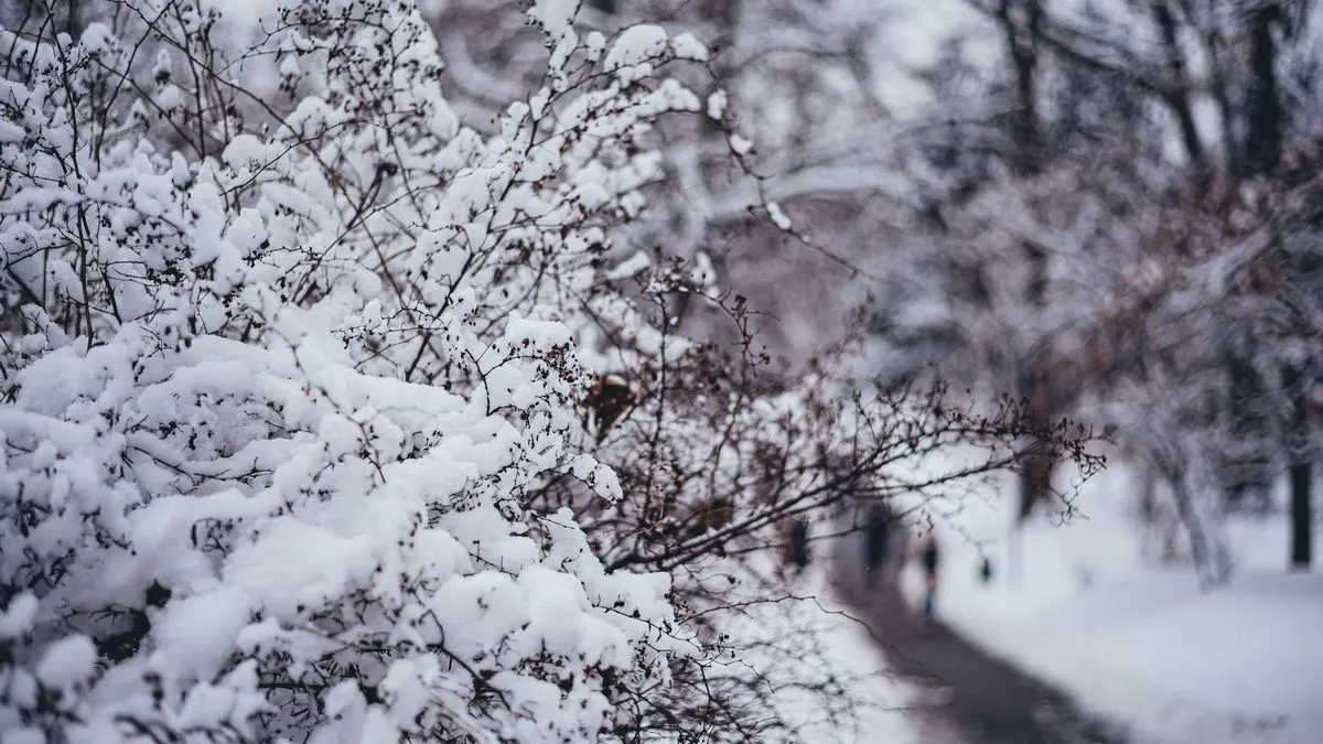 Яка погода завтра, 9 січня: в яких регіонах України синоптики прогнозують сніг та дощ