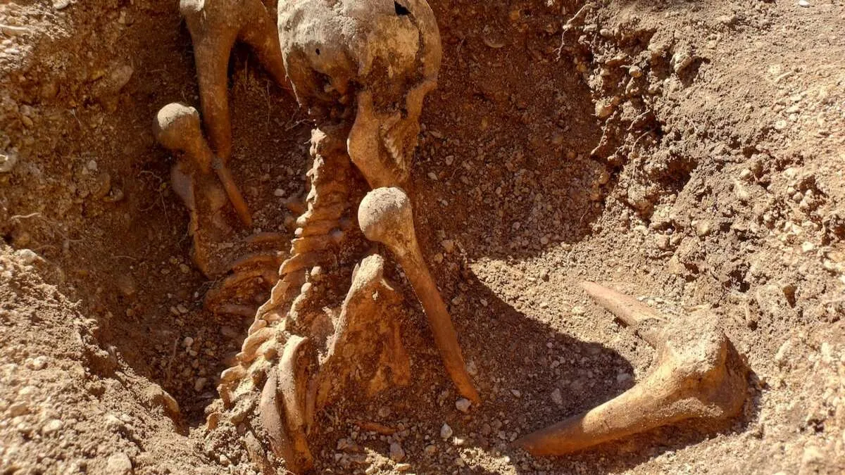 Жахлива знахідка біля школи: у Франції розкопали загадковий скелет, який сидить обличчям на захід