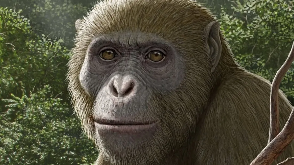 Вчені помилялась щодо колиски зародження людства: в Африці знайшли рештки людини, що змінюють попередні теорії