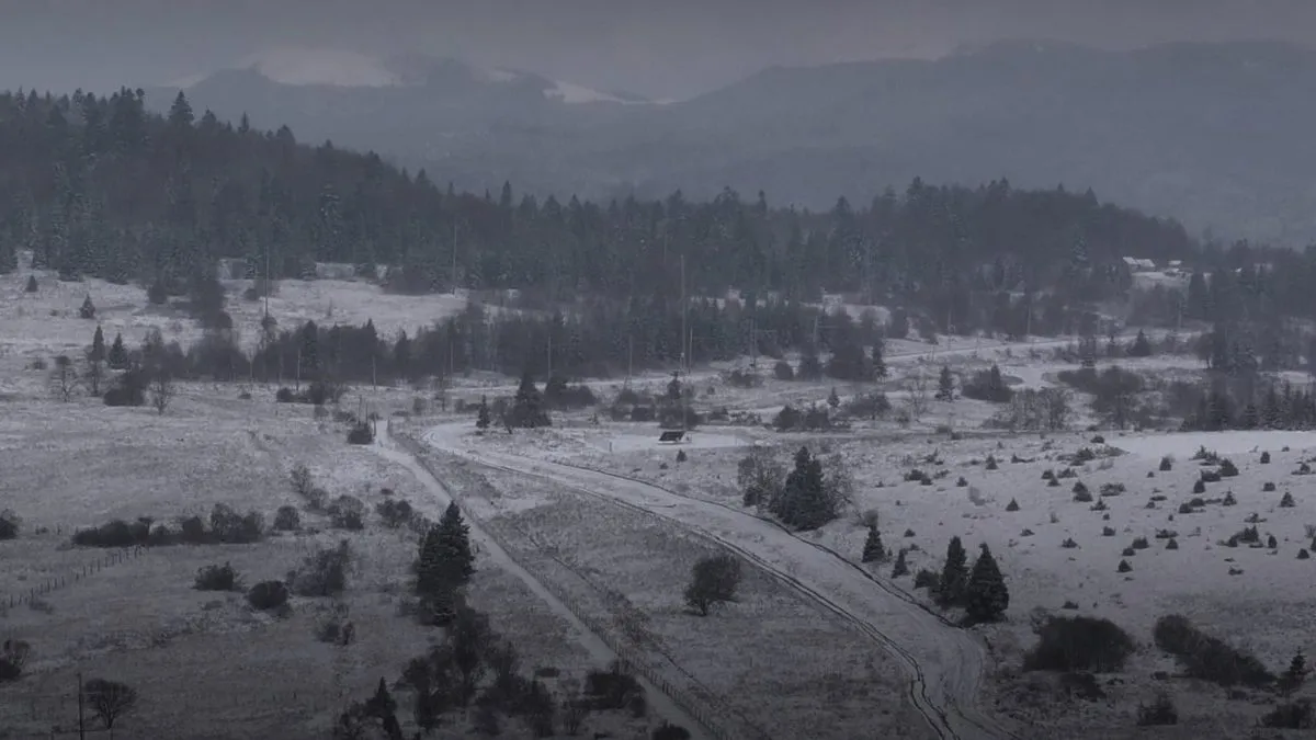 Зима вже на кордоні: прикордонники похвалились кадрами засніженої Львівщини