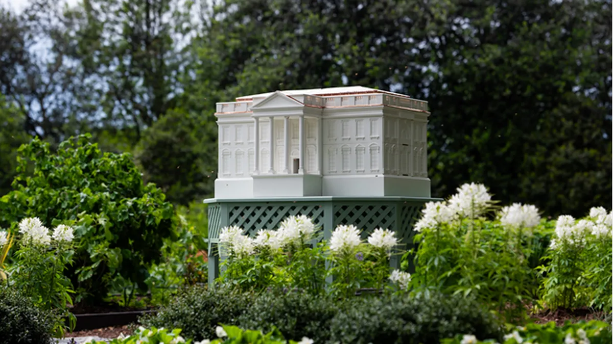 Меланія Трамп завела бджіл на галявині біля Білого дому: чому перша леді США вирішила встановити вулик