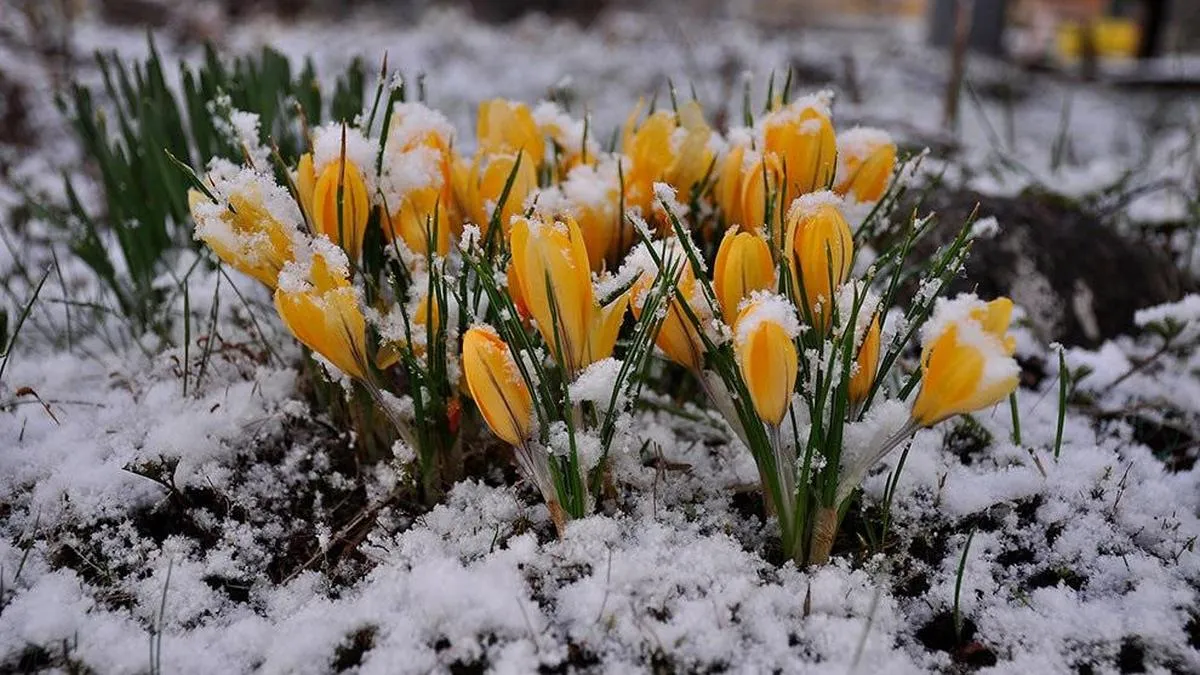 В Україну насувається різке похолодання: коли синоптики прогнозують зниження температури