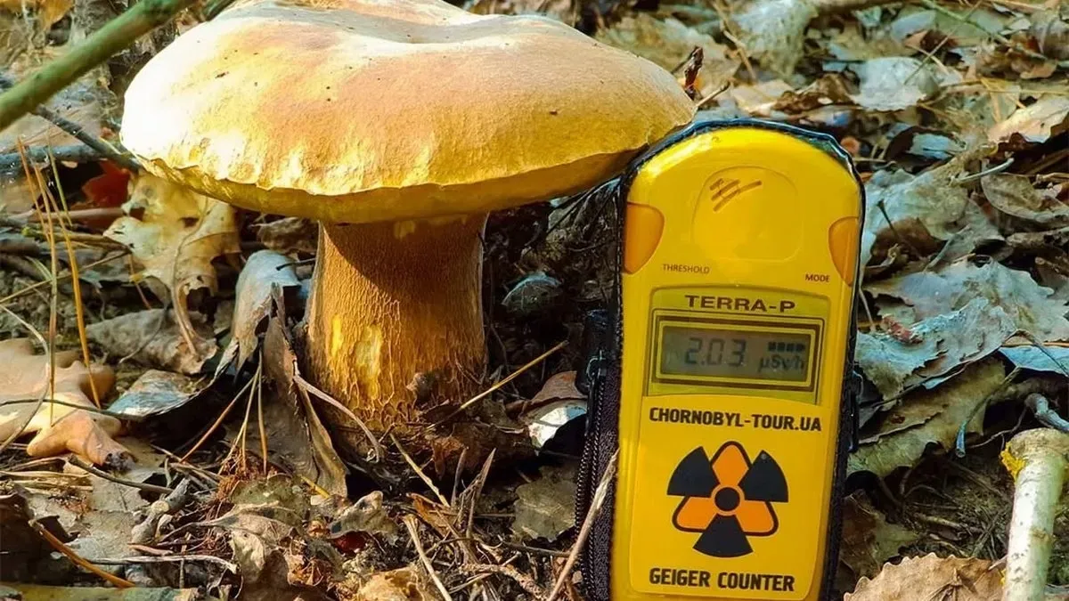 40 років після трагедії ЧАЕС: вчені пояснили «плямисте забруднення» та стан радіації в зоні