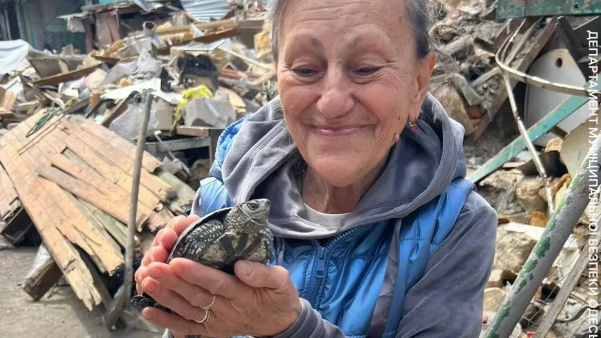 «Я вірила, що Філіпп живий»: в Одесі врятували черепаху, яка провела 5 днів під завалами будинку