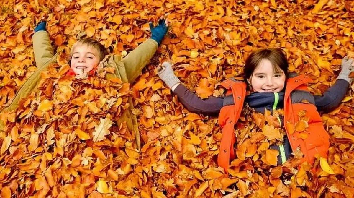 Коли осінні канікули? У Києві, Львові, Одесі, Дніпрі та Харкові дали відповідь – дати не співпадають