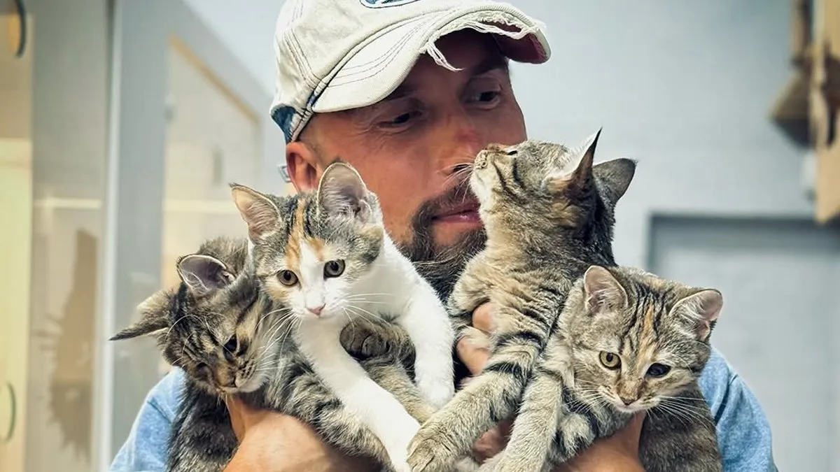 Як зігріти кота: Олексій Суровцев розповів, як допомогти хвостатим пережити низьку температуру 