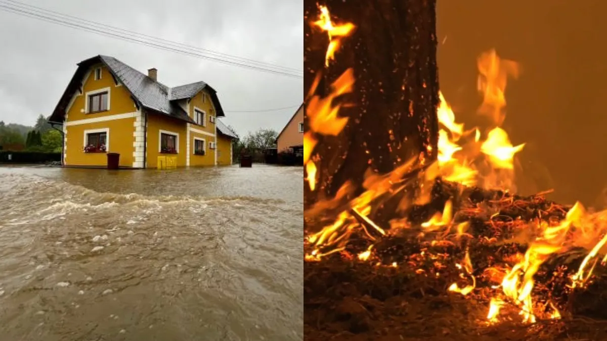 Землю накриють посухи, повені та пожежі: якими будуть результати підвищення температури ще на 2 градуси