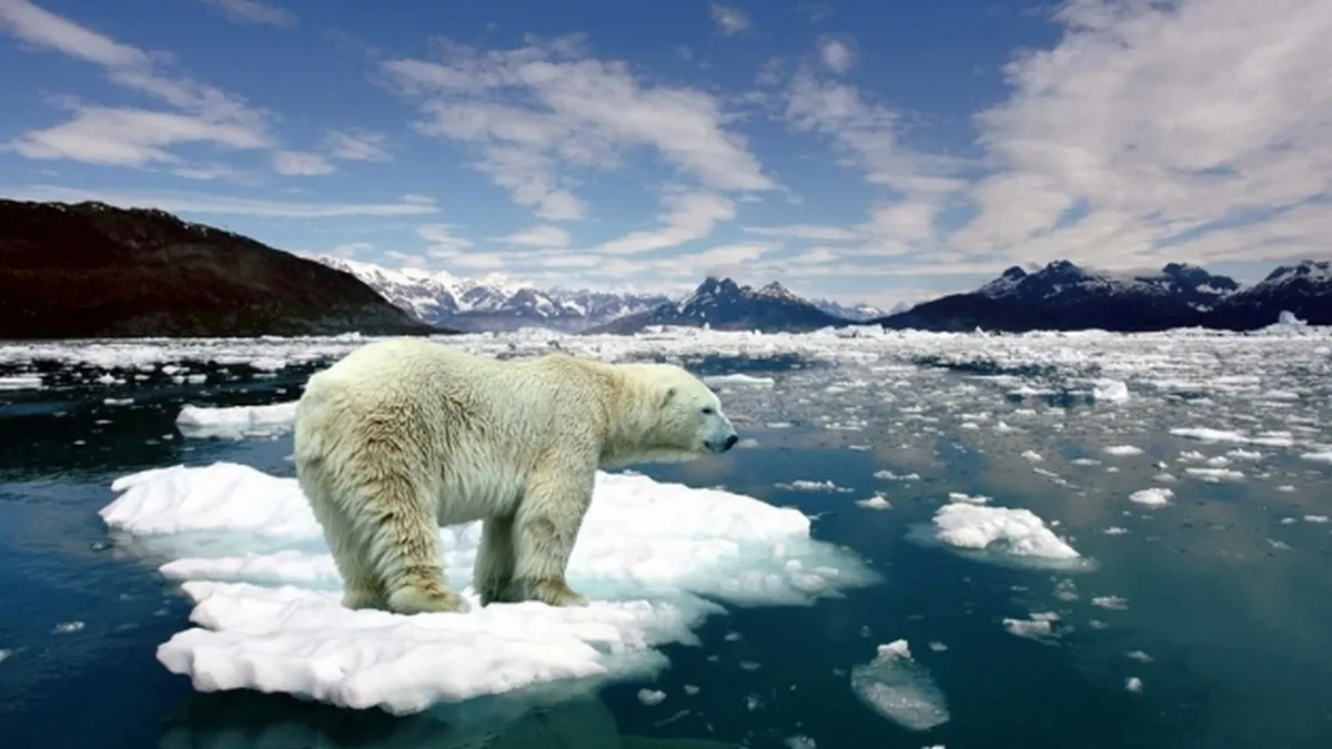 Зміни клімату неминучі: про зникнення яких тварин попереджають вчені