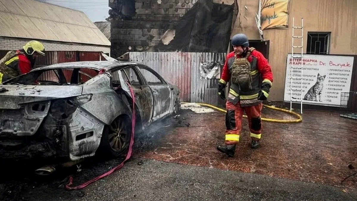 Росіяни вбили багато тварин у Чабанах: фото та відео наслідків удару по ветклініці на Київщині