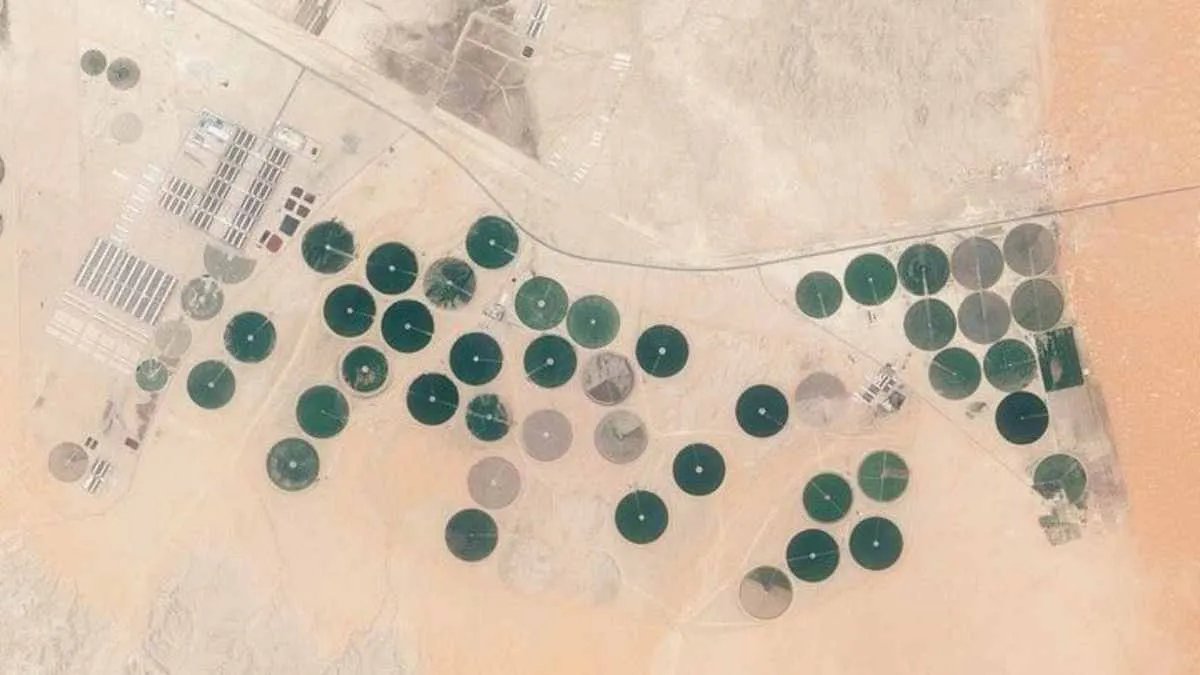 Зелені кілометрові кола: у пустелі Нафуд у Саудівській Аравії вчені виявили дивні об’єкти