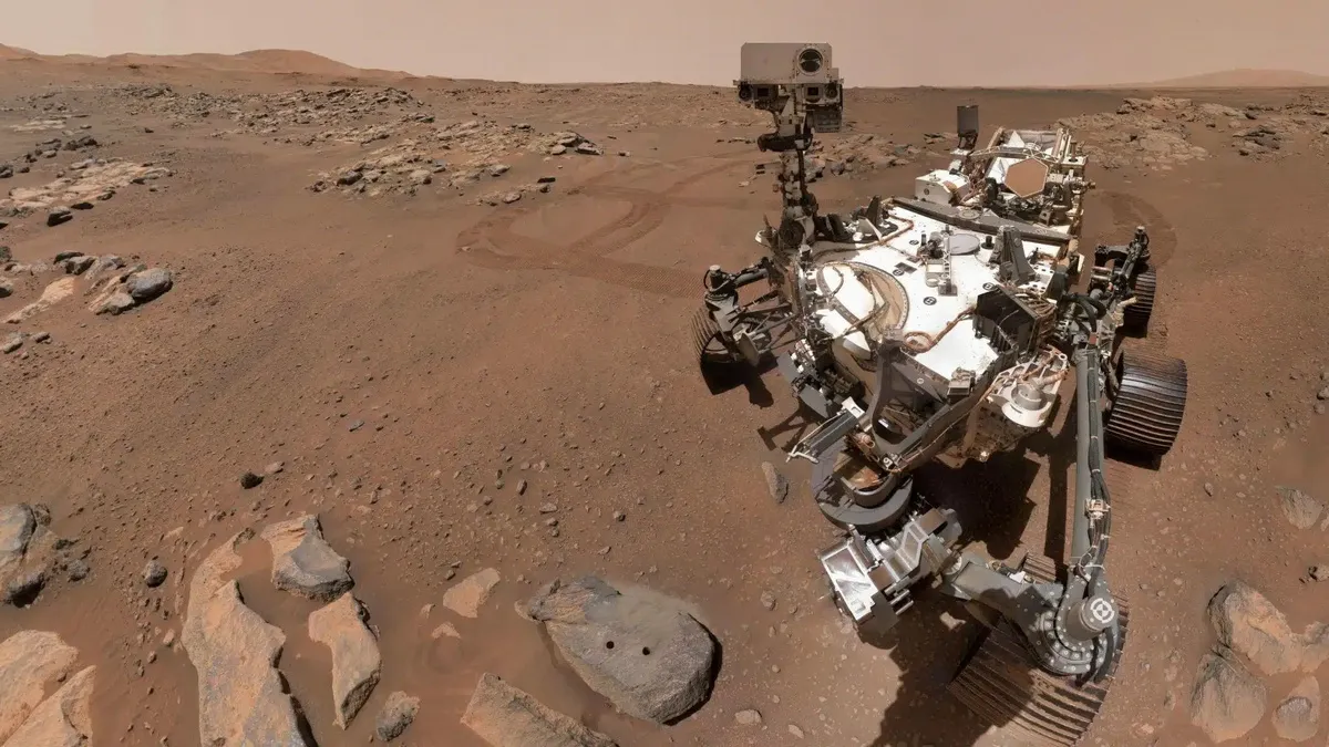 На Марсі можуть жити бджоли та комахи: вчені побачили дивних істот на світлинах з марсохода