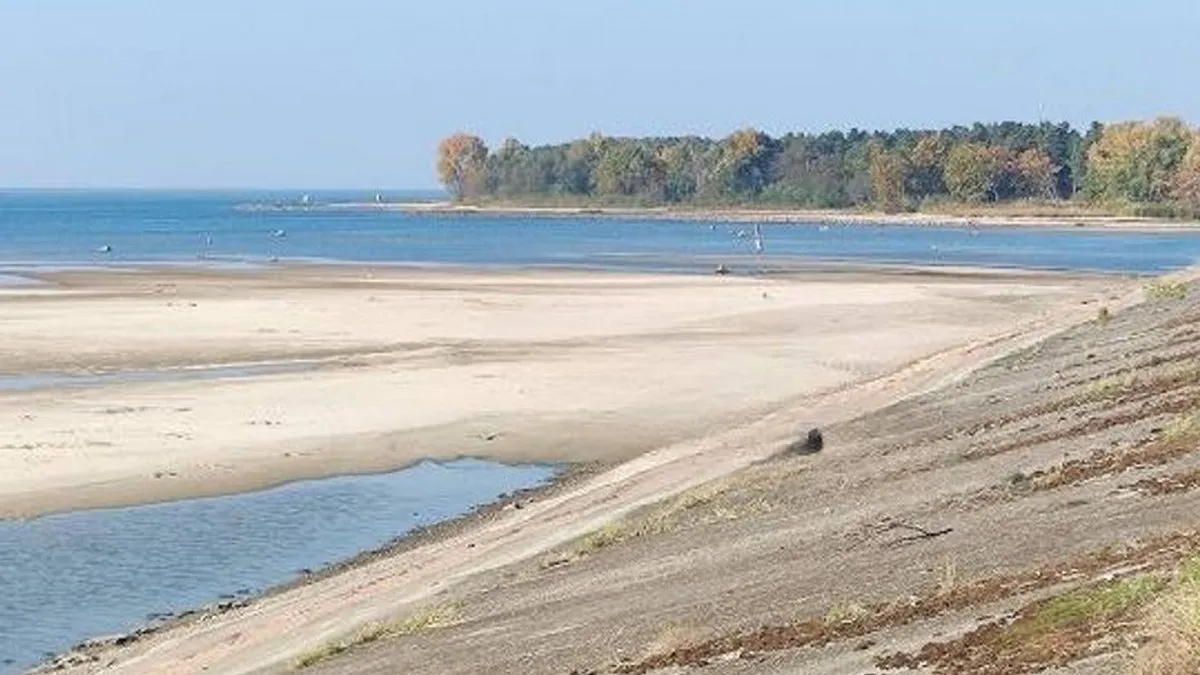 Різко впав рівень води у Київському водосховищі: екологи говорять про загрозу для риби і причини катастрофи