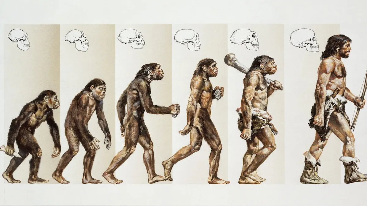Не лише Homo sapiens: вчені назвали сім видів людей, які існували одночасно в давнину