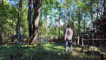 Велетенські дерева та рідкісні види рослин: що знайшли вчені на покинутих цвинтарях Чорнобильської зони