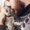 Кішки пам’ятають господарів роками: вчені пояснили, як тварини впізнають своїх людей після розлуки