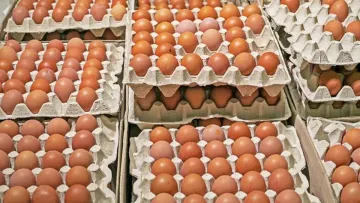 Яйця в українських супермаркетах дорожчають: де зараз найнижчі ціни та чого чекати у вересні
