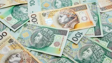 Виплати «800+» для українців у Польщі: ZUS почав призупиняти допомогу через розбіжності в даних