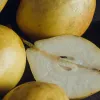 Груші можуть допомогти контролювати рівень холестерину: які корисні речовини містяться у цих фруктах
