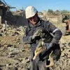 Рятувальники рятують тварин після обстрілів: зворушливі кадри повернення до господарів