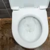 Звичайний білий оцет допоможе підтримувати чистоту у ванній: експерти пояснили простий спосіб використання