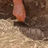 З ножем у могилі: археологи розкопали у Туреччині 2300-річні гробниці хетів