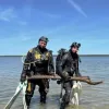 Ще до появи перших землеробів: у Німеччині на дні озера виявили 10500-річні дерев'яні споруди