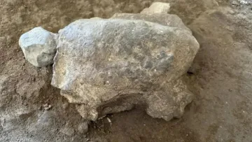 Загадкові ритуали палеоліту: археологи виявили в турецькій печері 25 фігурок черепах віком 16 500 років