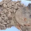 Неймовірна знахідка на звалищі у Польщі: чоловік випадково виявив частину щита давнього воїна