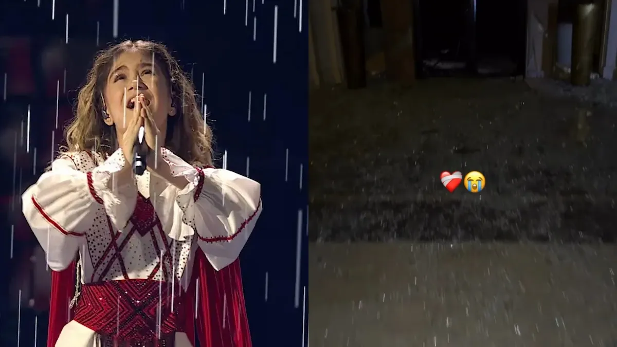 Будинок представниці України на Євробаченні постраждав від атаки РФ: моторошні фото наслідків