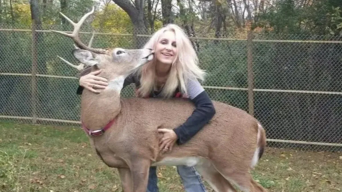 В США олень убив жінку, що врятувала його немовлям: моторошні подробиці
