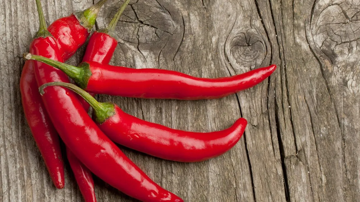 Вчені знайшли зв’язок між перцем чилі та раком: деякі види онкологій можуть розвинутись через пряність